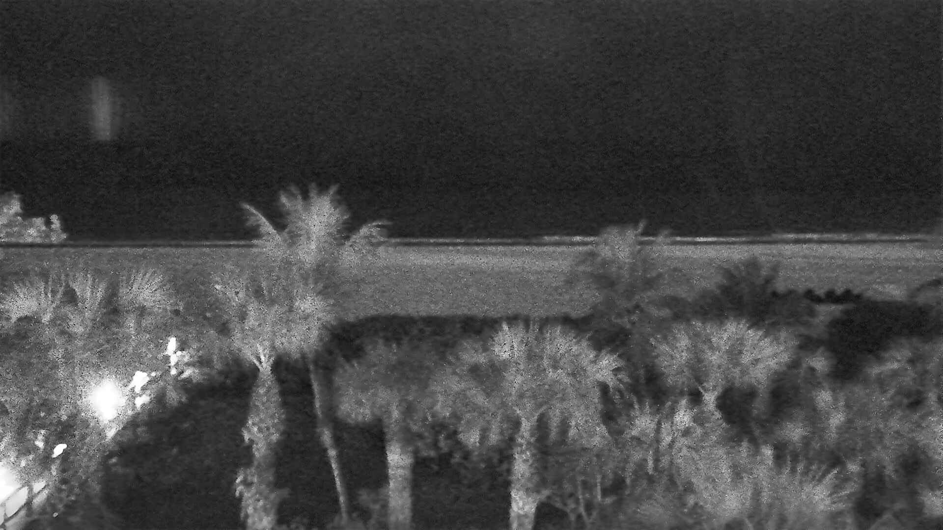 Snapper Rocks Live Streaming Surfcam | Swellnet, image size:1920x1080